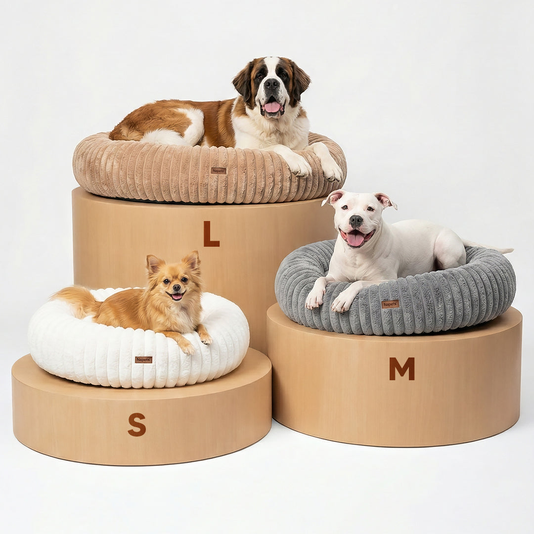 Cama Antiestrés Para Perros con Memory Foam