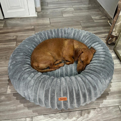 Review María Cervin