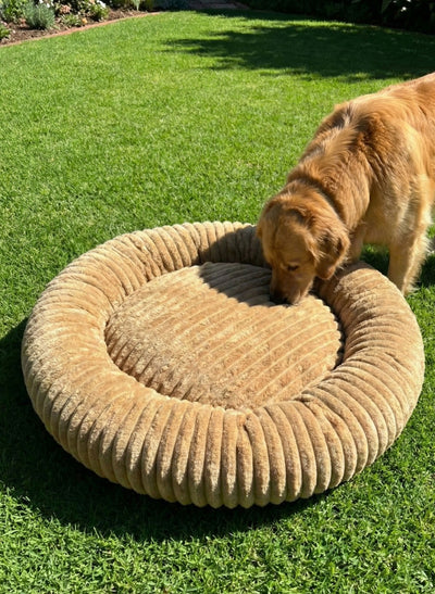 Review Luis Fernando