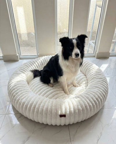 Review Soledad Pérez