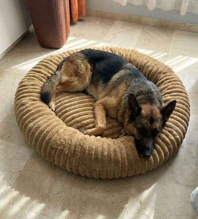 Review Hector garcía