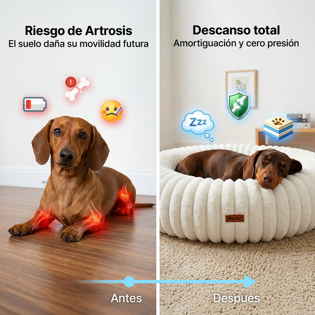 Cama Antiestrés Para Perros con Memory Foam