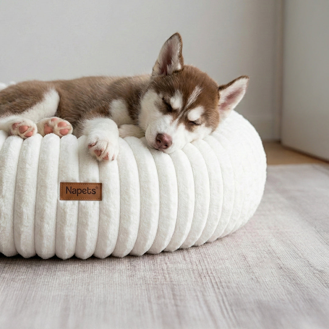 Cama antiestrés para perros Napets®